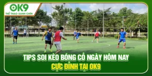 Read more about the article Tips Soi Kèo Bóng Cỏ Ngày Hôm Nay Cực Đỉnh Tại OK9